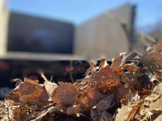 Better Grounds Management Logo