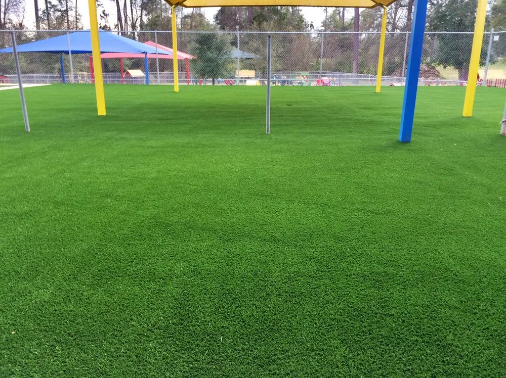 Top-rated yard maintenance for homes across Livingston, TX - Better Home and Lawn