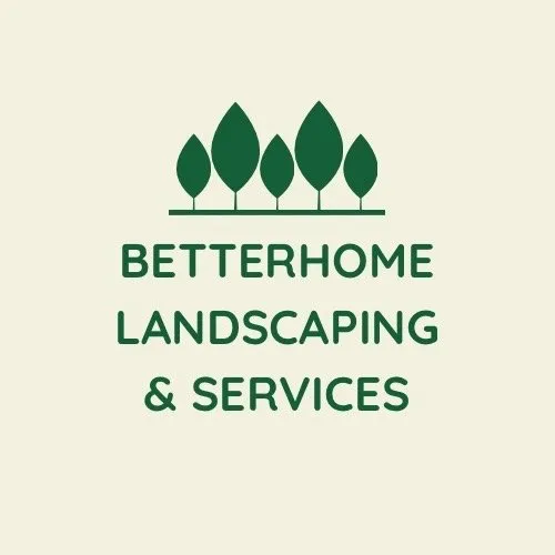 Trusted yard maintenance with custom design across Las Vegas, NV - Better Home Landscaping & Services