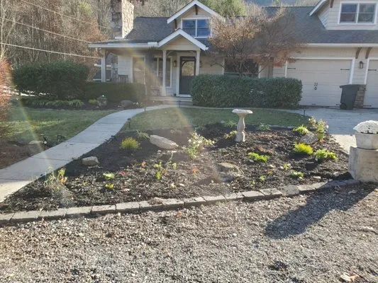 Better Homes & Lawns