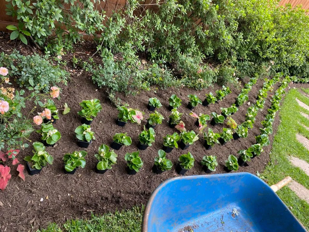 Custom outdoor landscaping in Houston, TX by Better ideas lawn landscaping