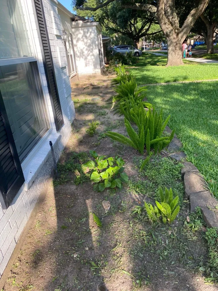 Affordable landscaping services in Houston, TX - Better ideas lawn landscaping