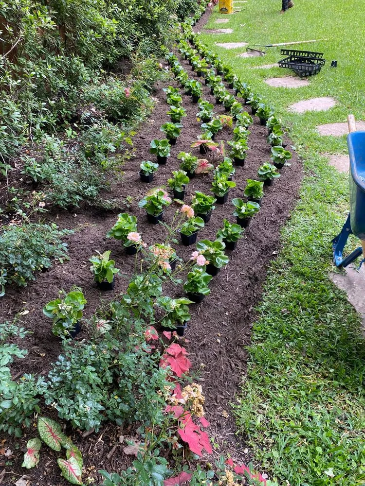 Reliable lawn mowing service in Houston, TX - Better ideas lawn landscaping