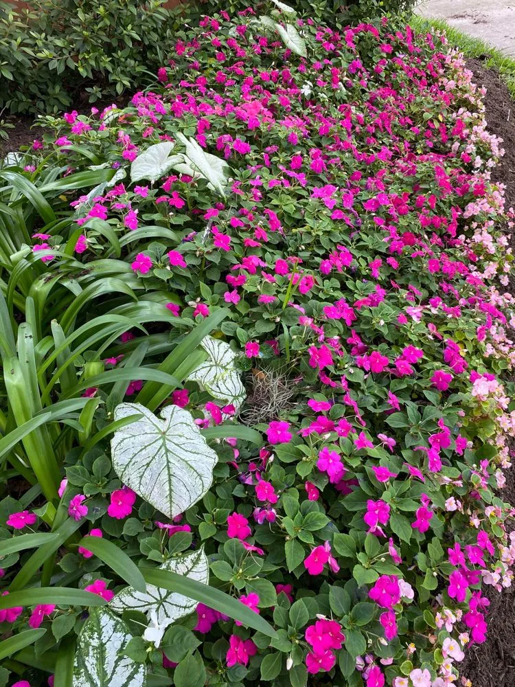 Top-rated yard maintenance experts serving Houston, TX - Better ideas lawn landscaping