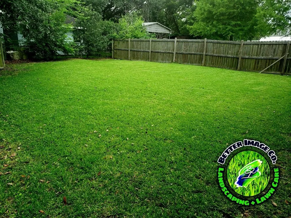 Affordable lawn mowing service in New Orleans, LA - Better Image Landscaping & Lawn Care