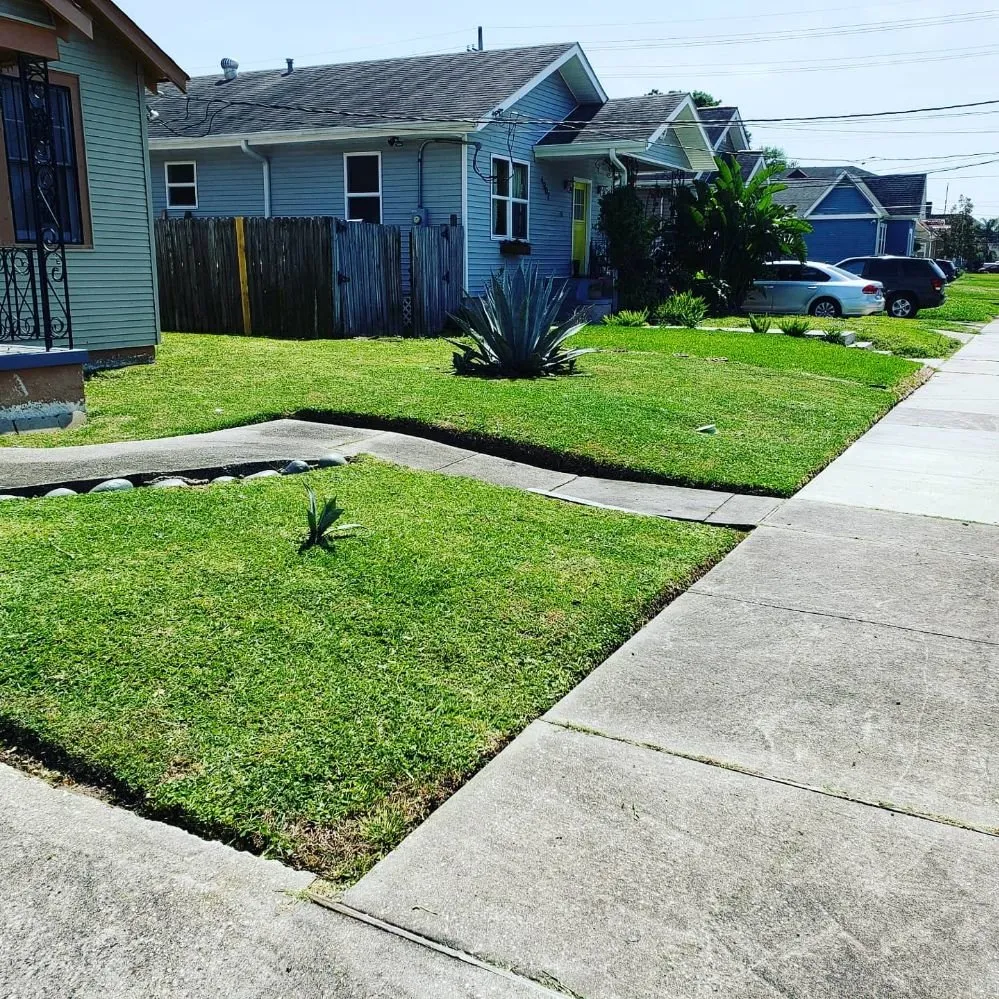 Trusted yard cleanup service for outdoor upgrades in New Orleans, LA by Better Image Landscaping & Lawn Care