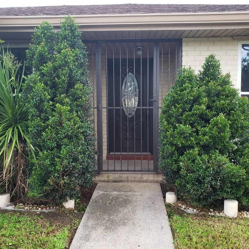 Trusted yard cleanup service in New Orleans, LA by Better Image Landscaping & Lawn Care