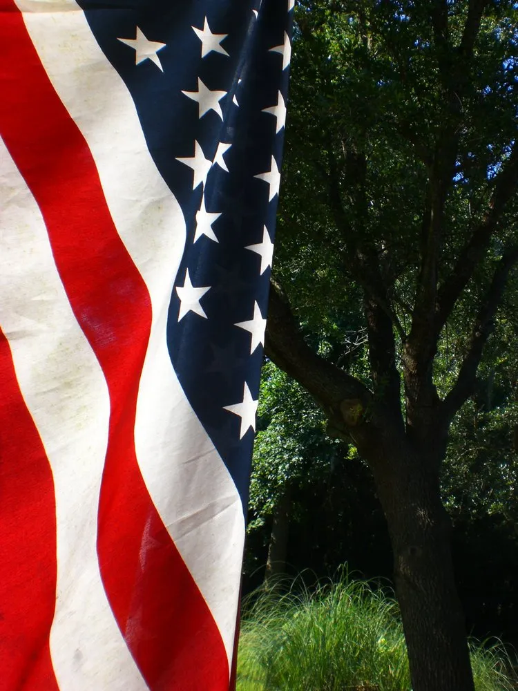 Professional residential landscaping for residential properties in Massapequa, NY by Better Kept Properties