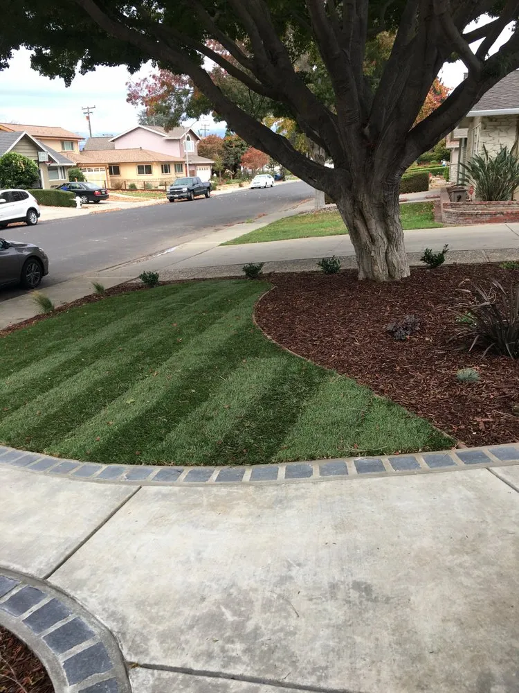 Expert outdoor landscaping in San Jose, CA - Better Landscape