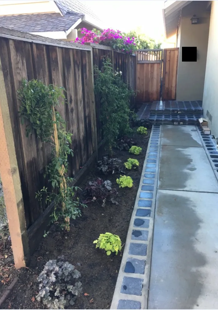 Affordable garden landscaping in San Jose, CA - Better Landscape