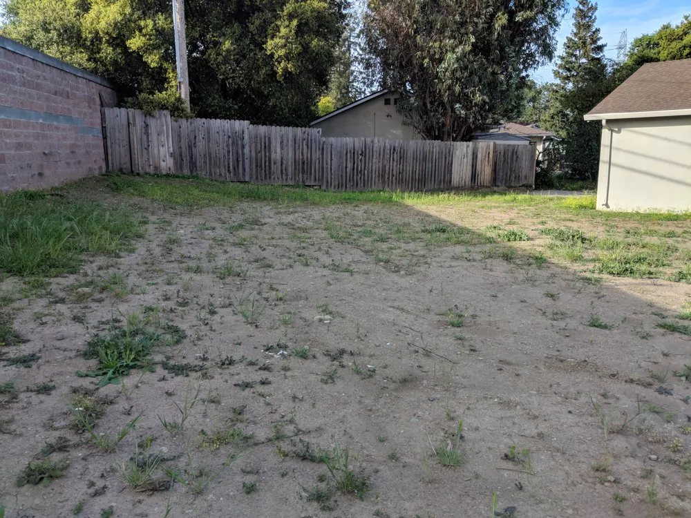 Reliable lawn care service for homes across San Jose, CA - Better Landscape