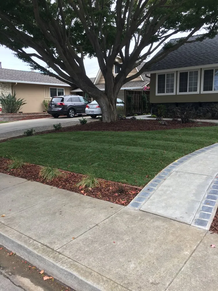 Expert landscape installation in San Jose, CA by Better Landscape