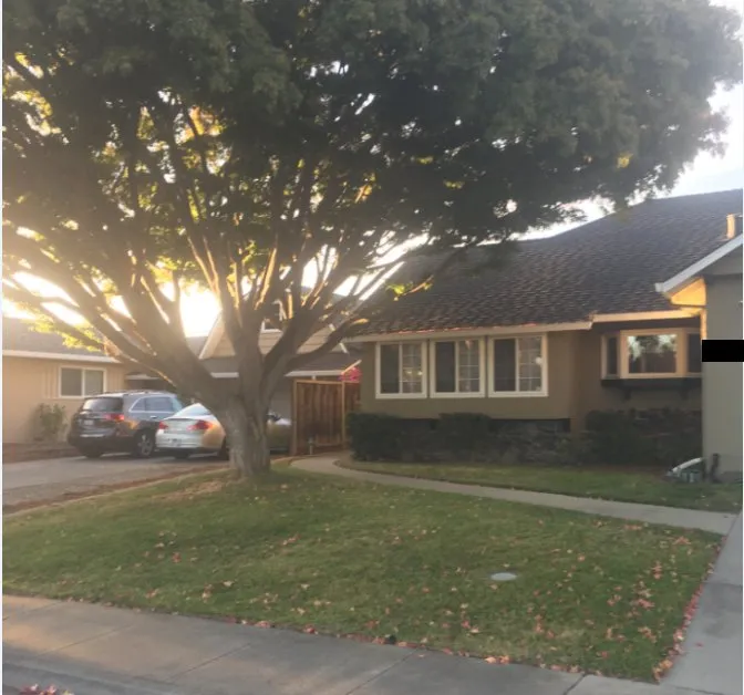 Top-rated landscape design in San Jose, CA by Better Landscape