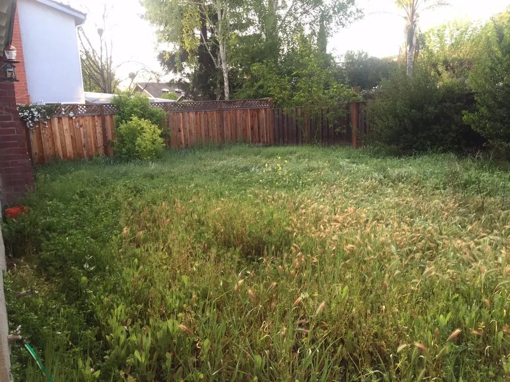 Custom garden landscaping experts serving San Jose, CA - Better Landscape