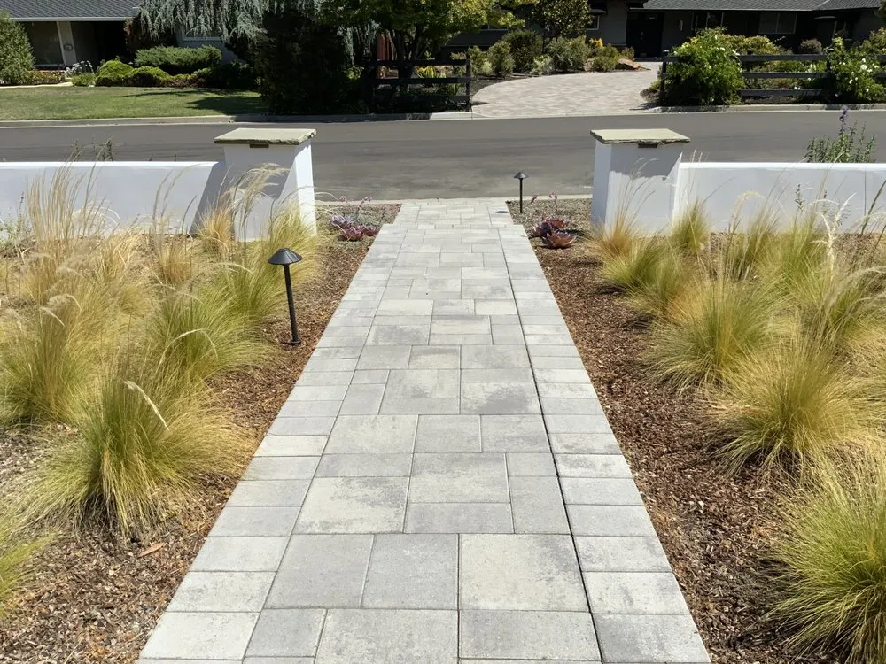 Affordable landscaping services for year-round maintenance across San Jose, CA - Better Landscape
