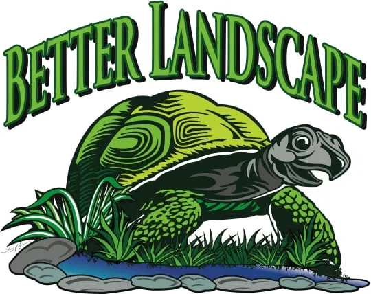 Top-rated residential landscaping experts serving San Jose, CA - Better Landscape