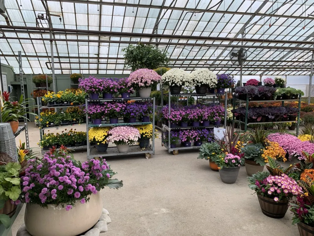 Trusted yard maintenance in Coram, NY - Better Landscaping