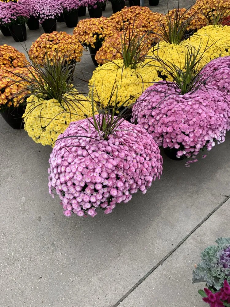 Expert lawn care service in Coram, NY by Better Landscaping