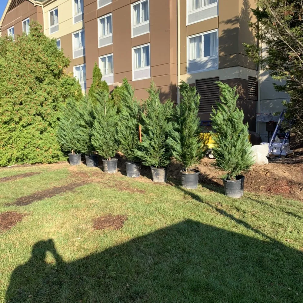 Trusted landscaping services in Coram, NY - Better Landscaping