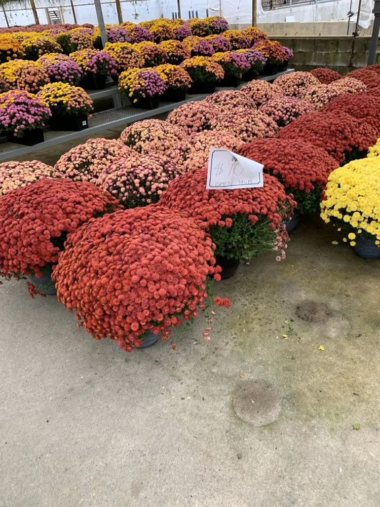 Top-rated residential landscaping experts serving Coram, NY - Better Landscaping