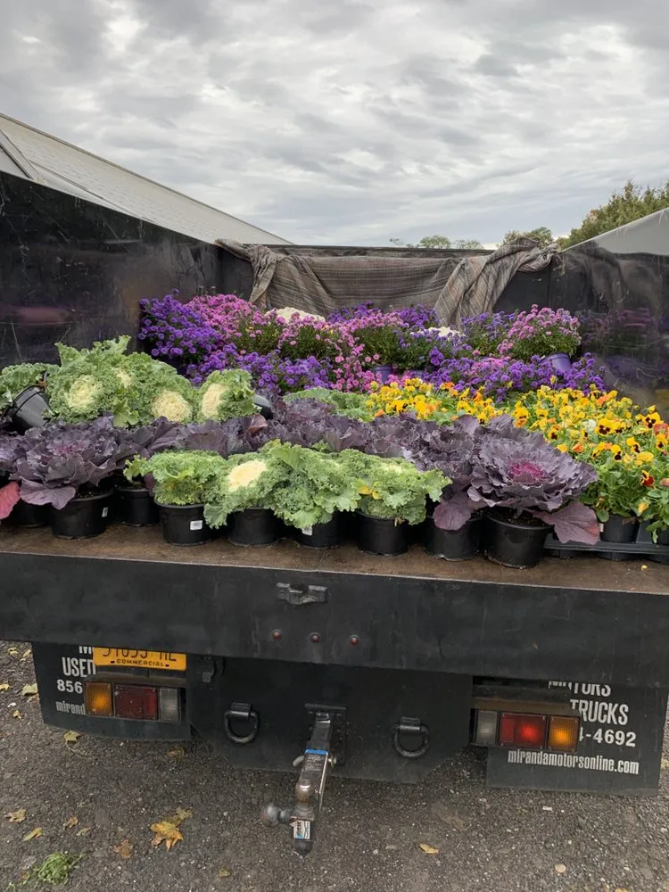 Local lawn mowing service in Coram, NY - Better Landscaping