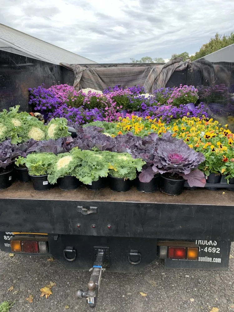 Professional lawn mowing service in Coram, NY by Better Landscaping