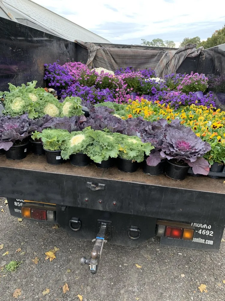 Trusted residential landscaping near you in Coram, NY by Better Landscaping