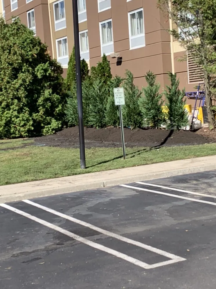 Trusted yard maintenance experts serving Coram, NY - Better Landscaping