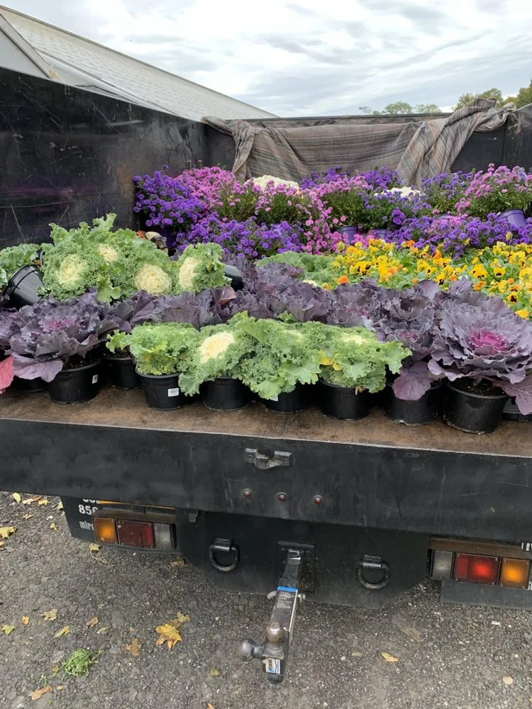 Reliable landscaping services in Coram, NY by Better Landscaping