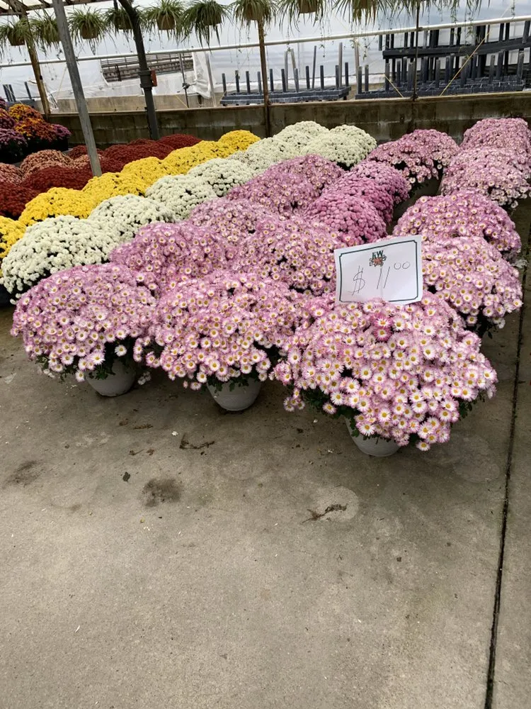 Local lawn mowing service experts serving Coram, NY - Better Landscaping