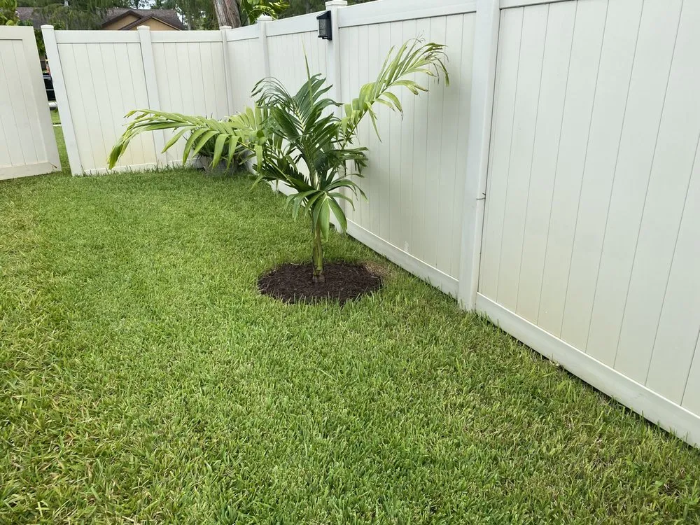 Reliable landscape installation for year-round maintenance across Lake Worth Beach, FL - Better Lawn