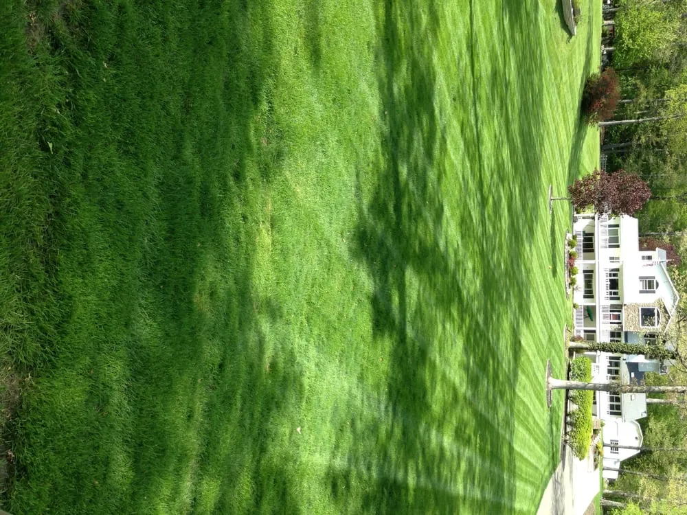 Top-rated lawn care service near you across Midland, MI - Better Lawns & Landscaping