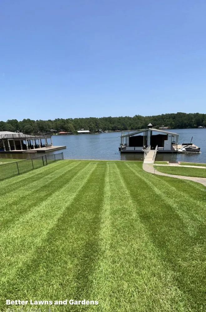 Expert lawn mowing service in Jacksonville, TX by Better Lawns and Gardens