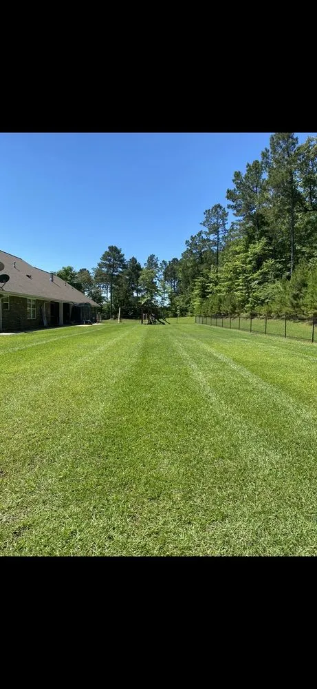 Affordable lawn care service in Dubach, LA by Better Lawns