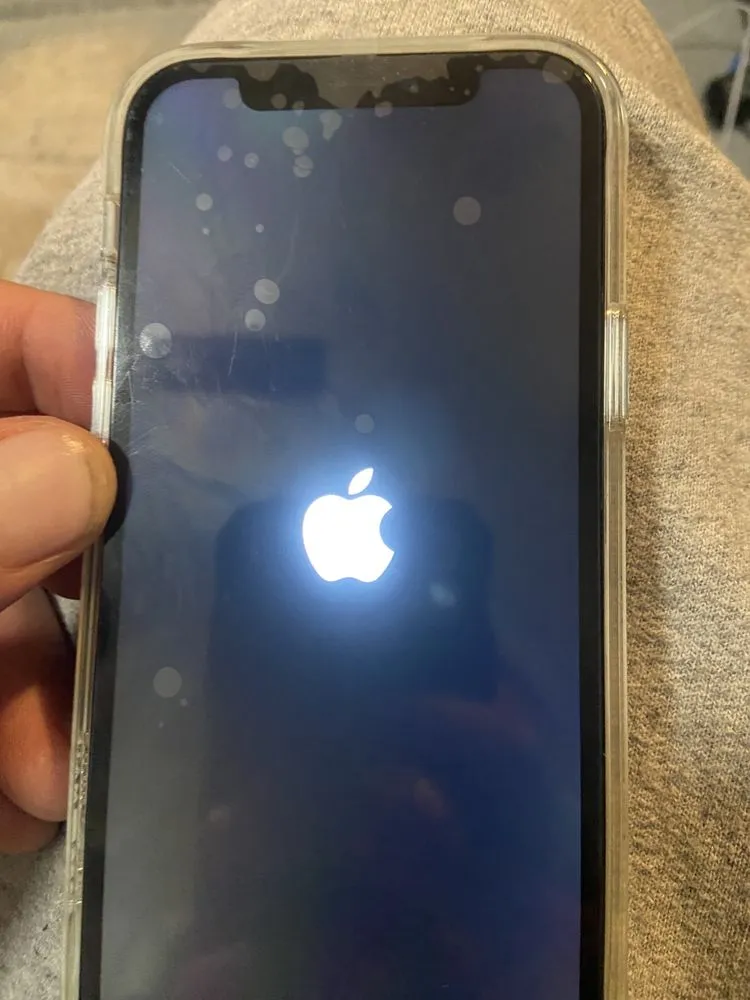 Expert yard maintenance for year-round maintenance in Virginia Beach, VA by Better My Comm-unity