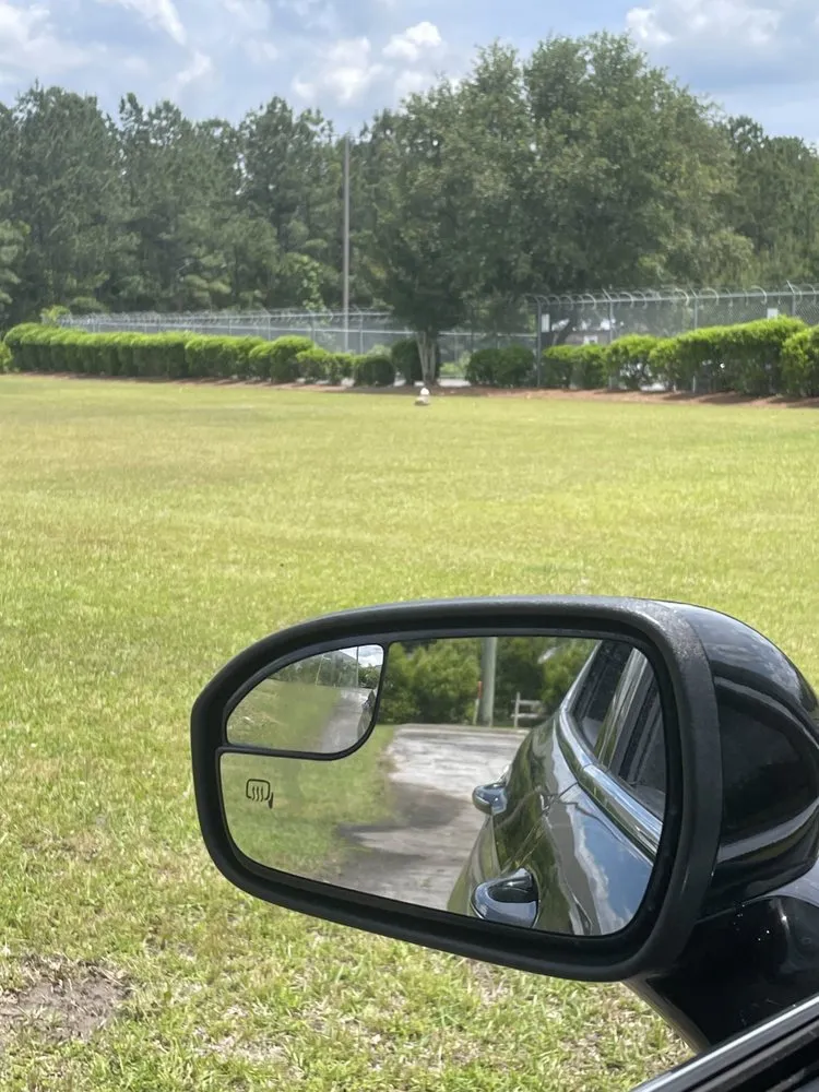 Top-rated landscape design experts serving Virginia Beach, VA - Better My Comm-unity