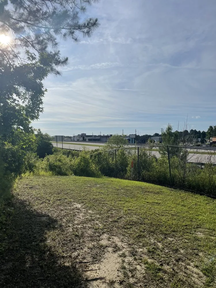 Local yard maintenance in Virginia Beach, VA by Better My Comm-unity