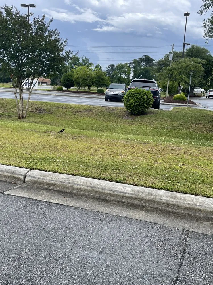 Local outdoor landscaping for beautiful yards in Virginia Beach, VA by Better My Comm-unity