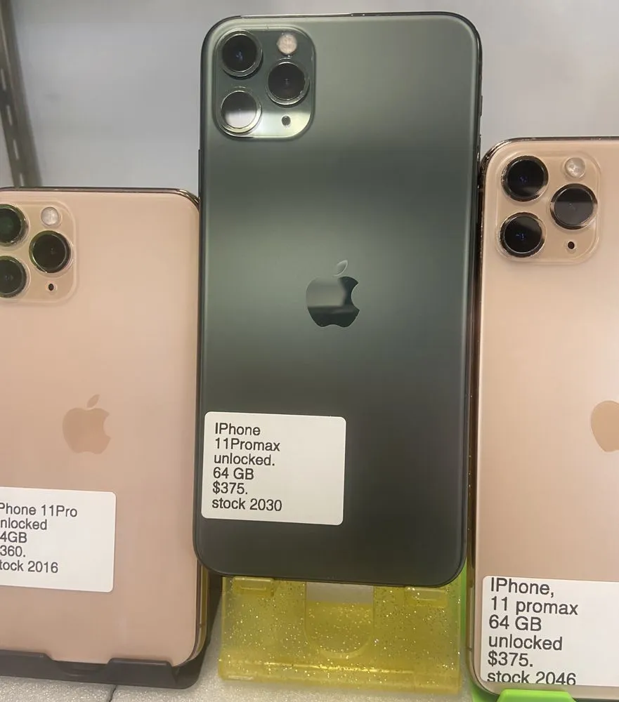 Top-rated outdoor landscaping for year-round maintenance across Virginia Beach, VA - Better My Comm-unity