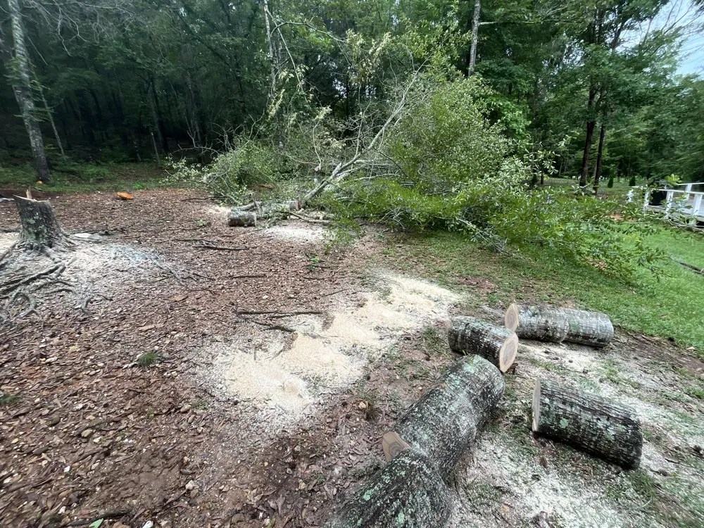 Trusted lawn mowing service in Powder Springs, GA - Better Than Goats Lawncare