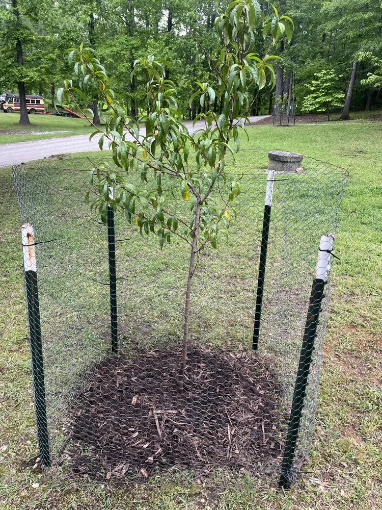 Expert outdoor landscaping in Powder Springs, GA by Better Than Goats Lawncare