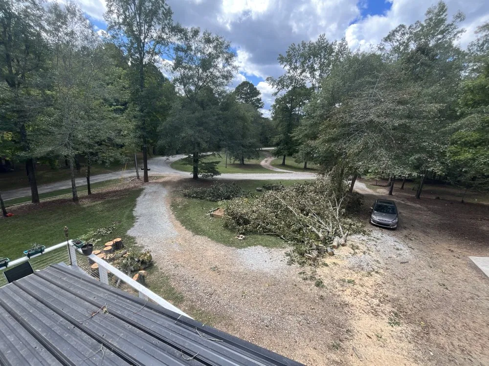 Trusted yard cleanup service in Powder Springs, GA - Better Than Goats Lawncare