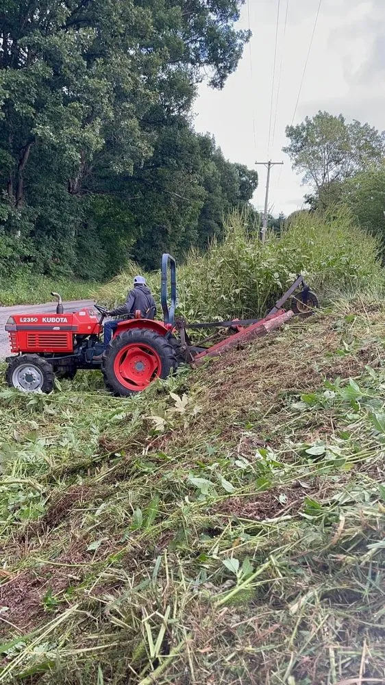 Professional residential landscaping experts serving Pana, IL - Better Than Good Land Services