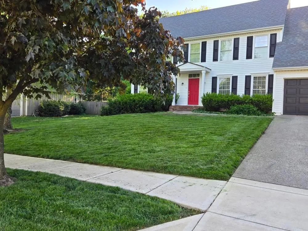 Local landscaping services near you in Lee's Summit, MO by Better Than Most Lawn Services