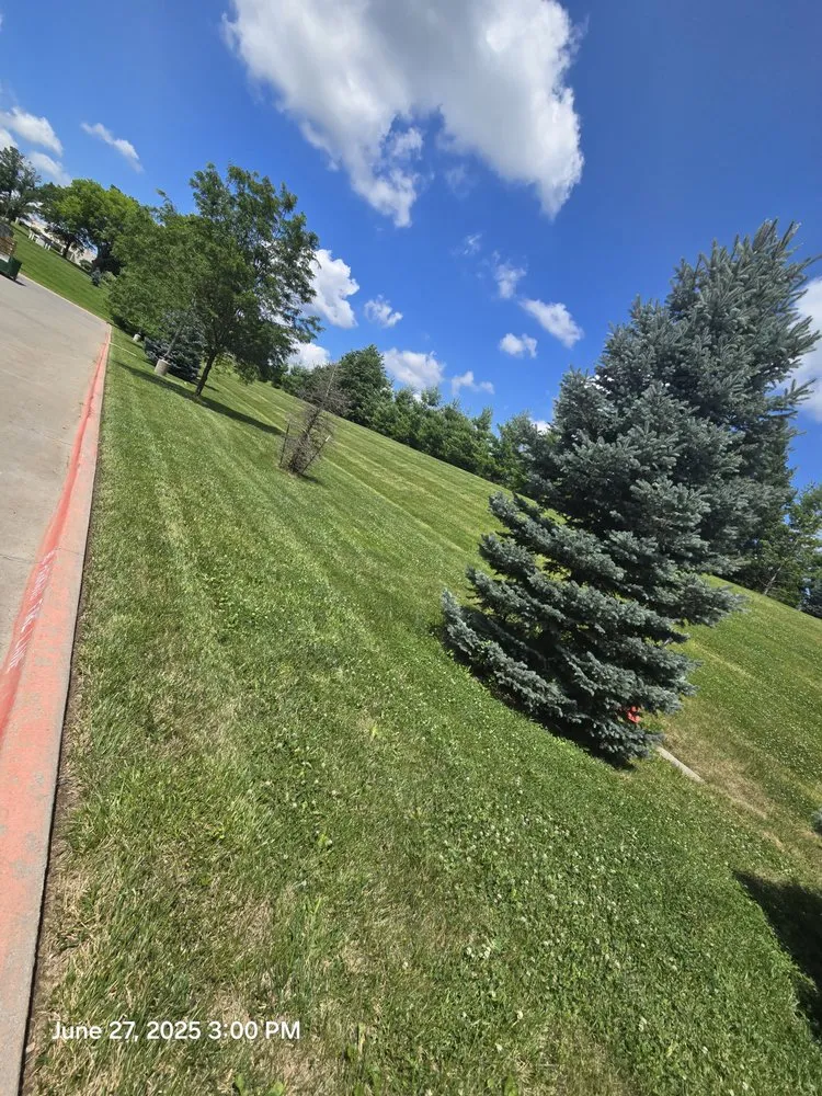 Expert residential landscaping for residential properties in Lee's Summit, MO by Better Than Most Lawn Services