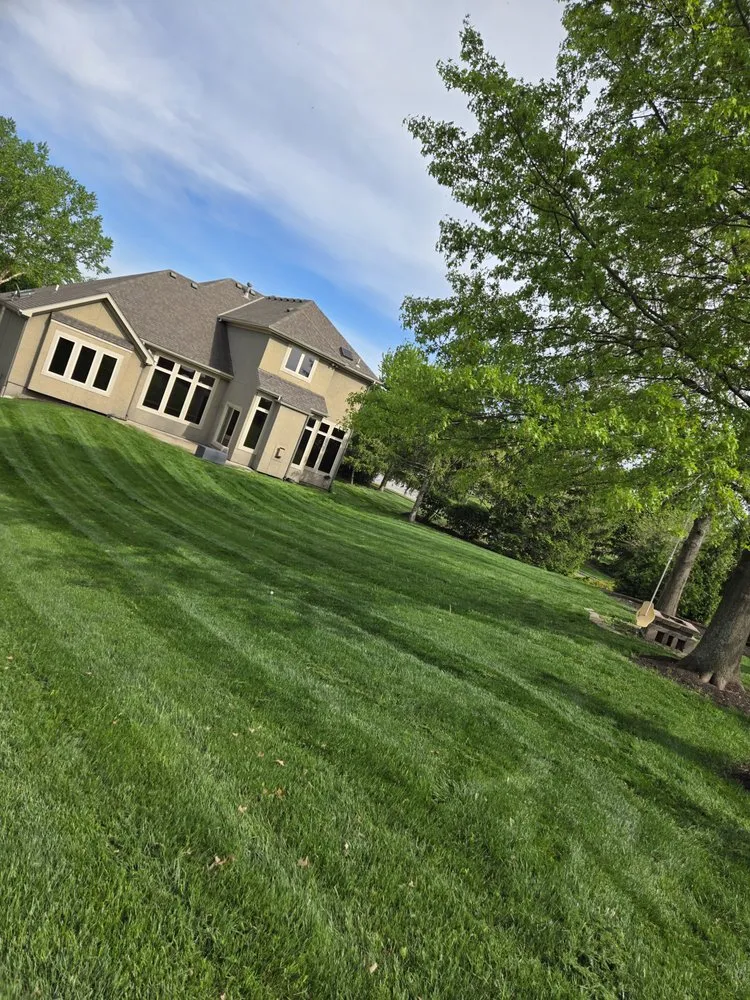 Professional landscape installation for beautiful yards in Lee's Summit, MO by Better Than Most Lawn Services