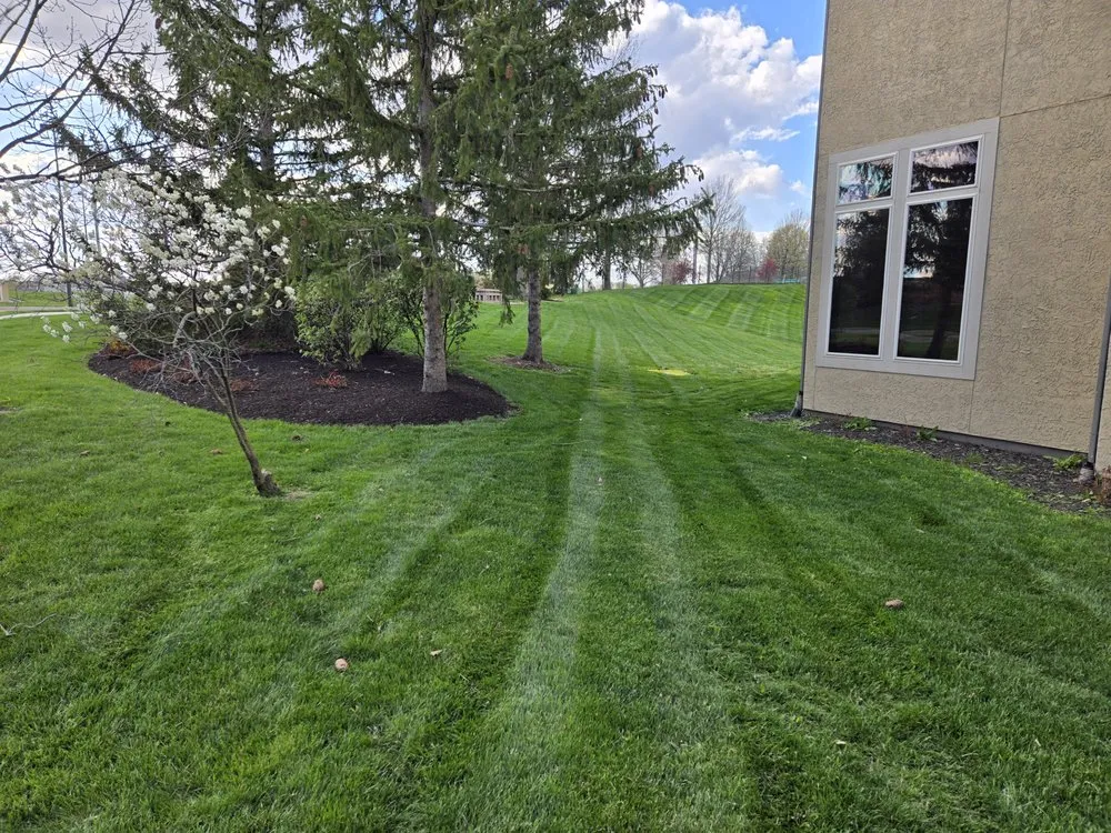 Reliable outdoor landscaping for beautiful yards across Lee's Summit, MO - Better Than Most Lawn Services