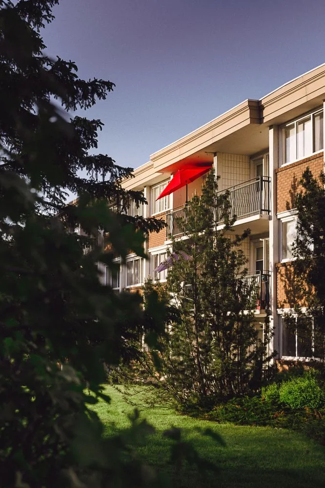 Reliable landscape design in Houston, TX - Better Things