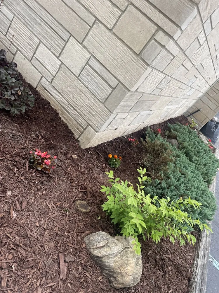 Custom lawn care service in Albion, MI by Better View