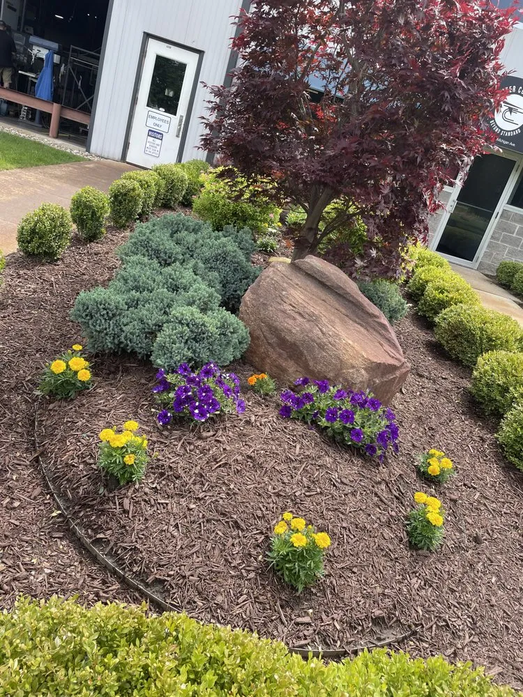 Expert yard cleanup service in Albion, MI by Better View